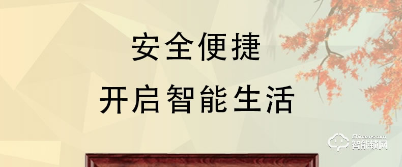 三得利智能門 進戶門安全入戶標準門智能門