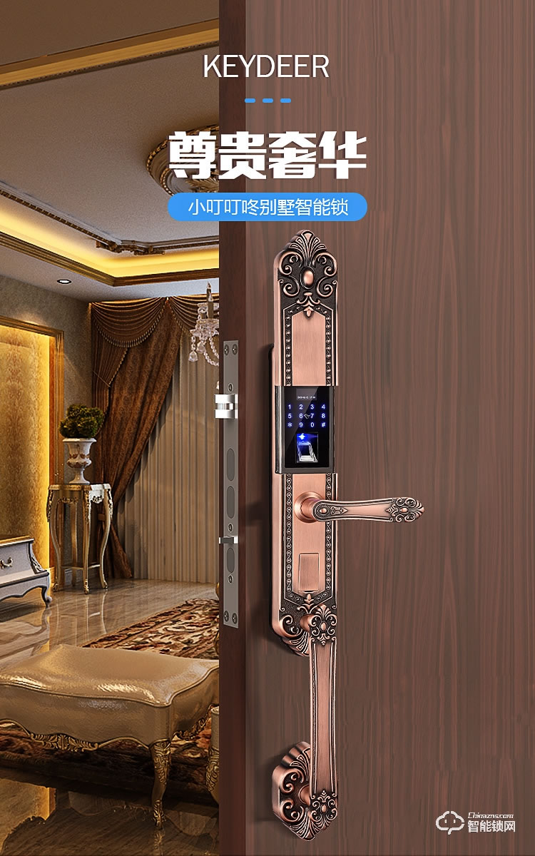 巴奈特智能鎖 D9別墅大門雙開門指紋密碼鎖