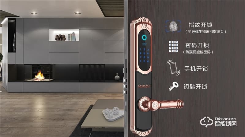 蘭蒂斯智能鎖 A1家用防盜門智能鎖