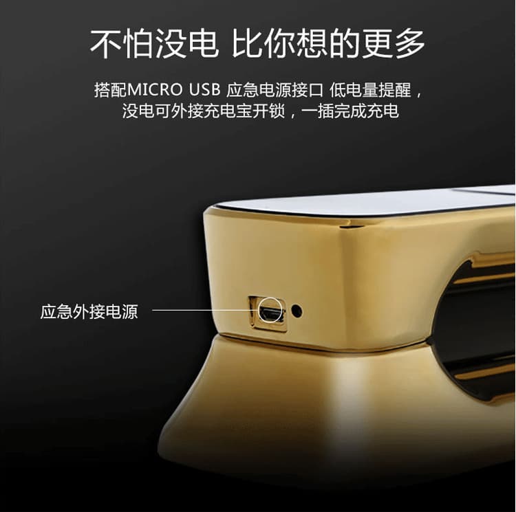 艾仕臣智能鎖 AS-003家用防盜門智能遠程電子鎖