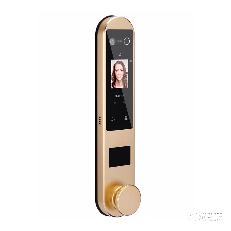 德斯邁克智能鎖 DM-R002全自動人臉識別鎖