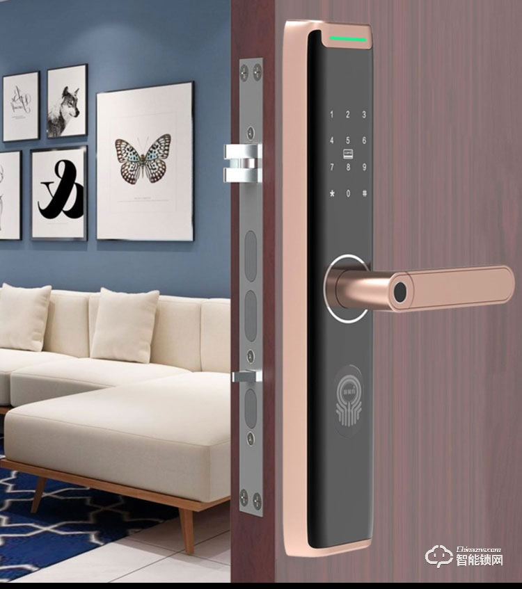 智普利智能鎖 Z9家用遠程電子門鎖智能電子鎖
