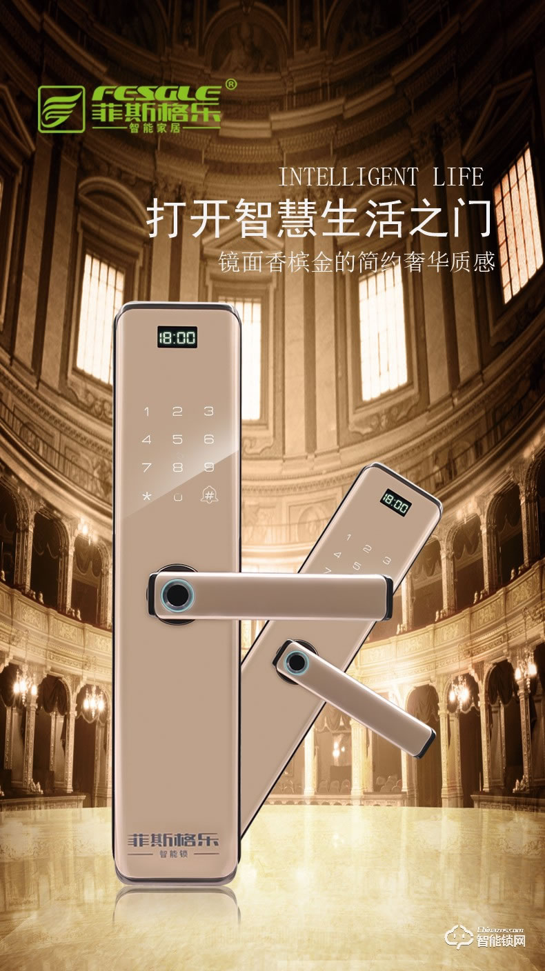 菲斯格樂智能鎖 6853家用防盜門智能門鎖密碼鎖