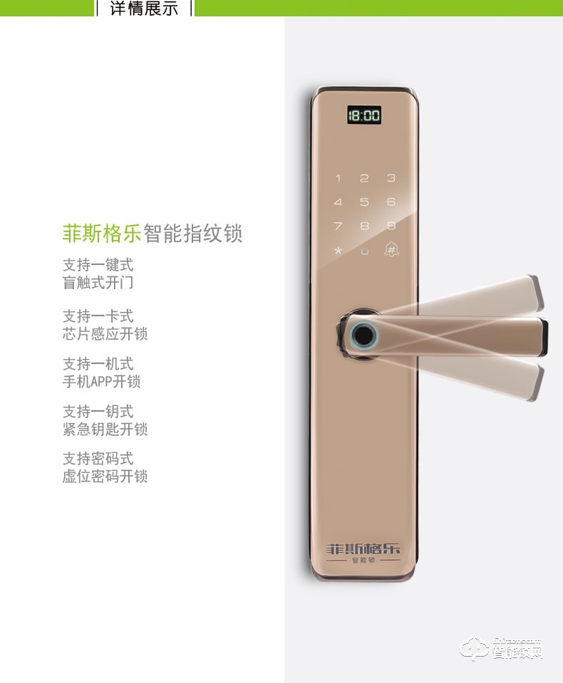 菲斯格樂智能鎖 6853家用防盜門智能門鎖密碼鎖