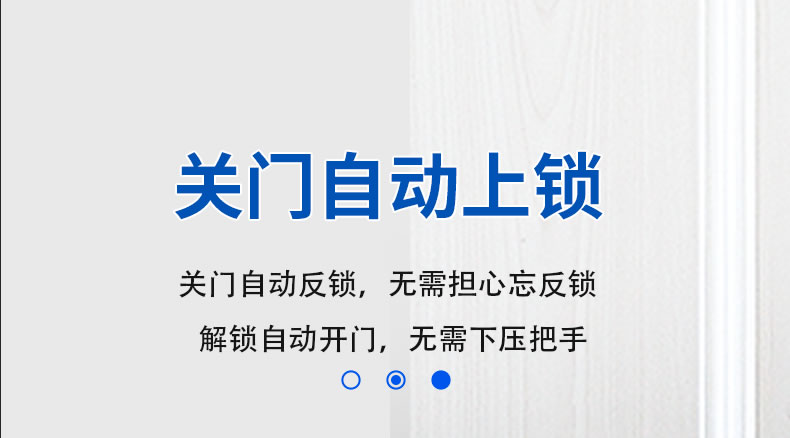 麥爾思智能鎖 R8人臉識別全自動智能指紋鎖