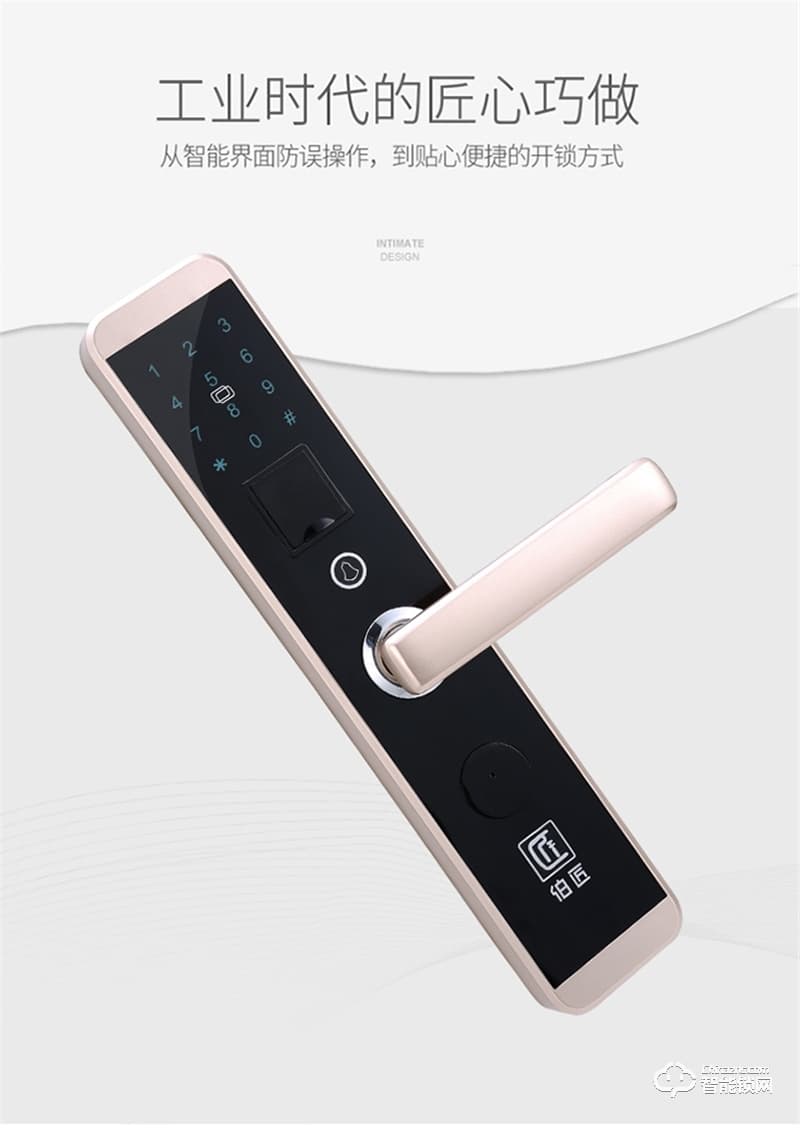 伯匠BJ101智能鎖 全自動智能鎖家用電子鎖