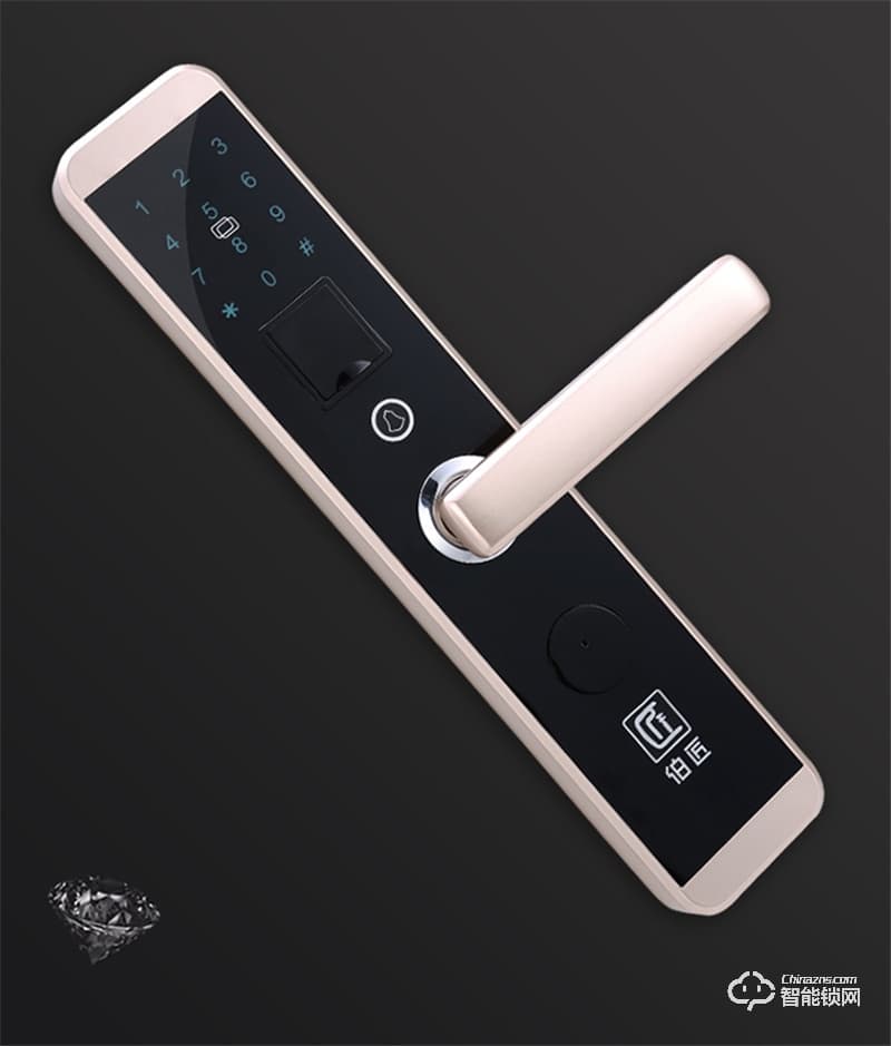 伯匠BJ101智能鎖 全自動智能鎖家用電子鎖