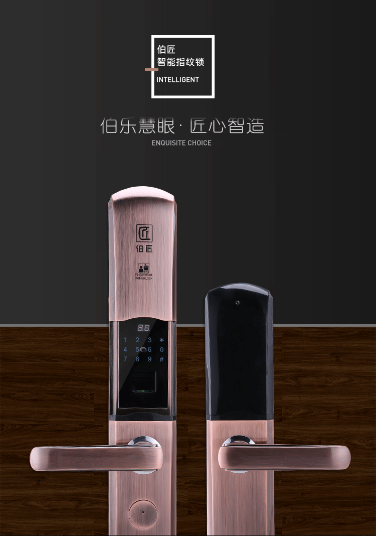 伯匠BJ-201智能鎖 家用密碼電子鎖