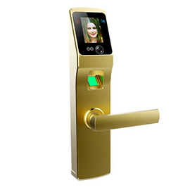 道思智能鎖 智能指紋鎖（金）智能觸摸開機(jī)、高亮度紅外燈