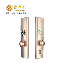 豪力士指紋鎖 D0755F家用防盜門智能鎖手機app感應電子鎖遙控刷卡密碼鎖