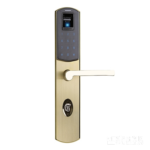 放龍科技智能鎖 別墅高端電子密碼鎖 家用入戶門指紋鎖