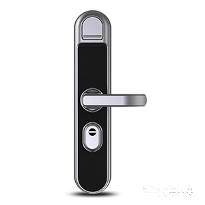 核桃智能鎖 手機(jī)APP開(kāi)鎖 指紋鎖密碼鎖W3F