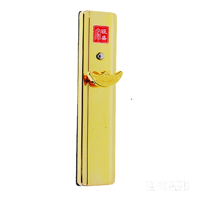家旺盛無(wú)孔遙控門鎖 不銹鋼電子智能鎖