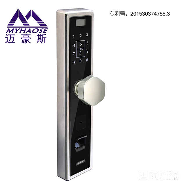 靈寶觸控電子密碼鎖 入戶門防盜指紋鎖