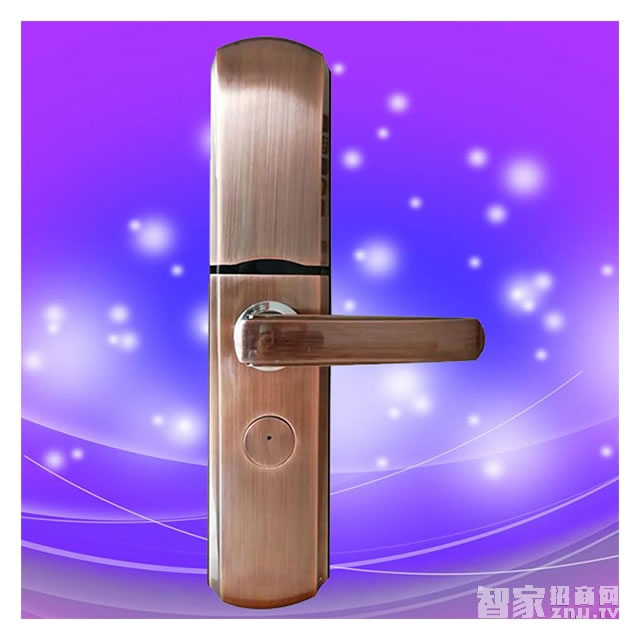 彬睿智能鎖 家用防盜門智能鎖 公寓入戶門指紋密碼鎖
