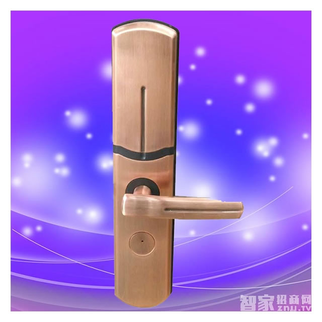 彬睿智能鎖 公寓大門智能鎖 家用滑蓋指紋密碼鎖