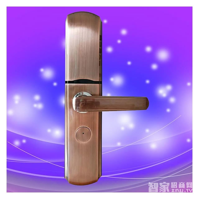 彬睿智能鎖 家用防盜指紋密碼鎖 大門電子感應鎖