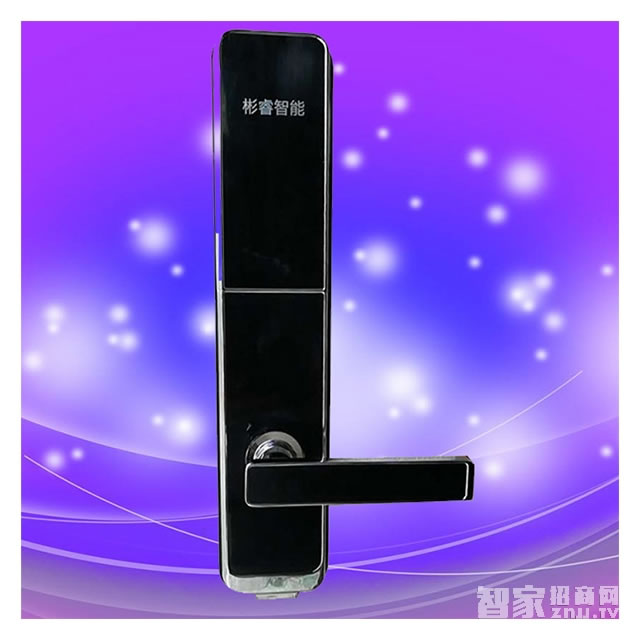 彬睿智能鎖 鋅合金指紋密碼鎖 公寓入戶門防盜智能鎖
