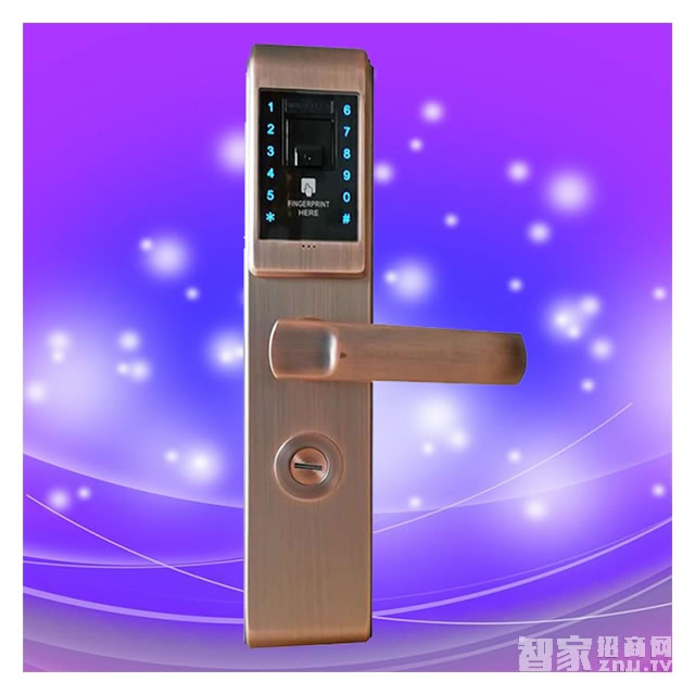 彬睿智能鎖 智能觸控指紋密碼鎖 家用大門電子鎖