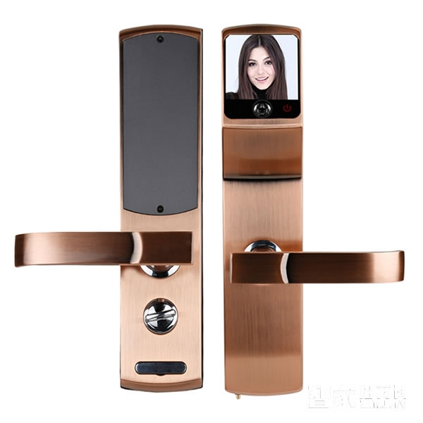 德克人臉識別智能鎖 家用大門電子門鎖