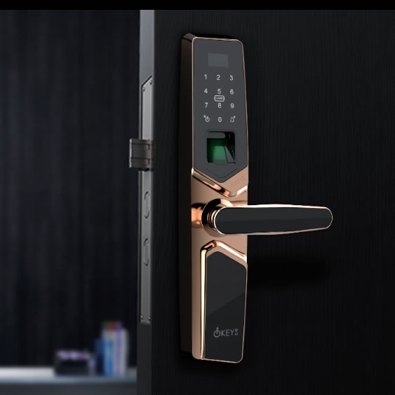 零鑰超聲波智能門鎖ZLS-808 家用防盜指紋鎖