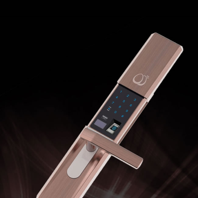 蛋蛋智家智能防盜鎖 小區指紋密碼鎖