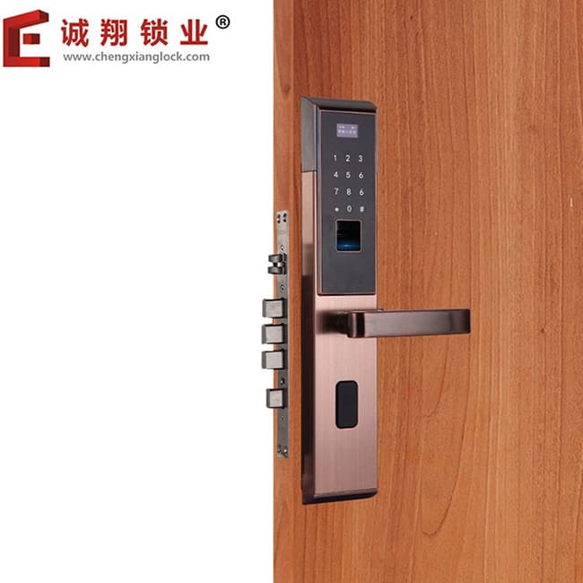 誠翔家用防盜門密碼鎖 app安全房門鎖