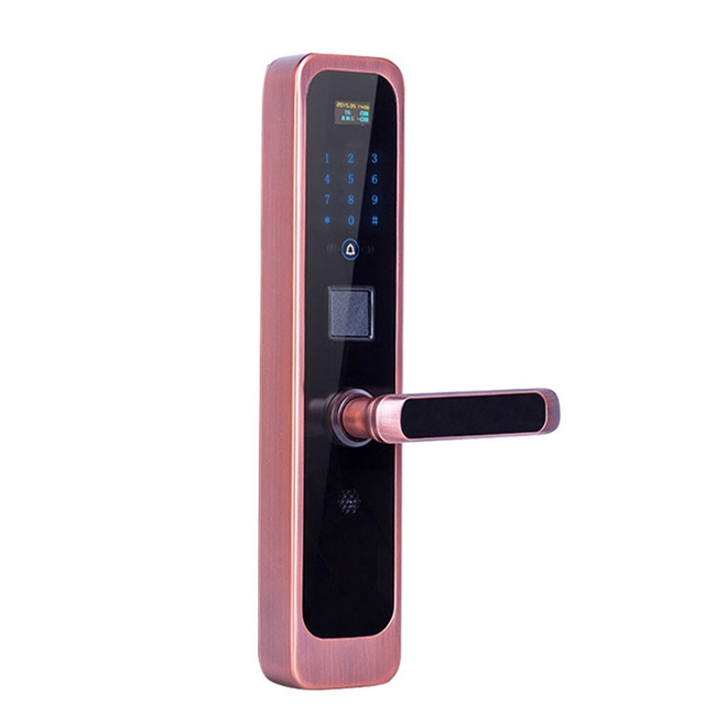 碩派家用全自動智能鎖 電子感應卡鎖