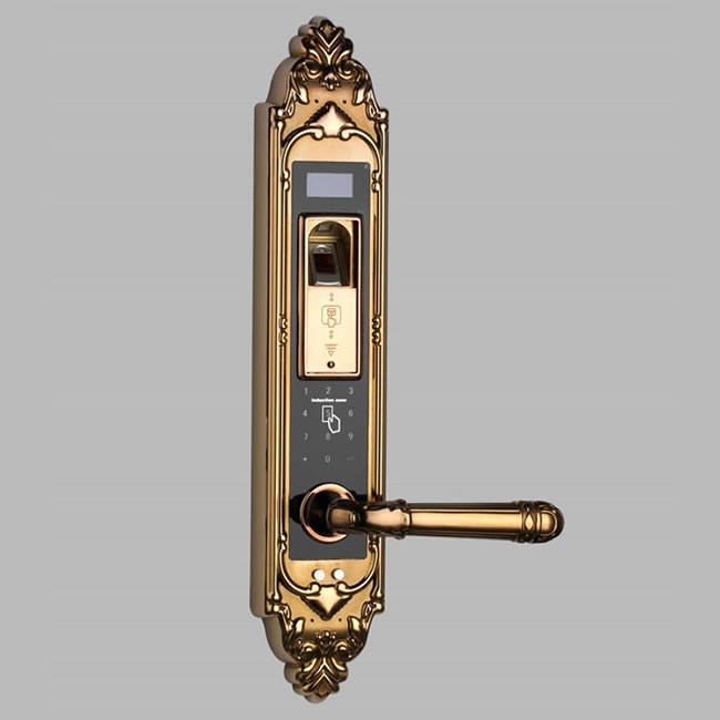 宏興智能鎖 高檔小區(qū)別墅指紋密碼鎖 家用防盜門鎖