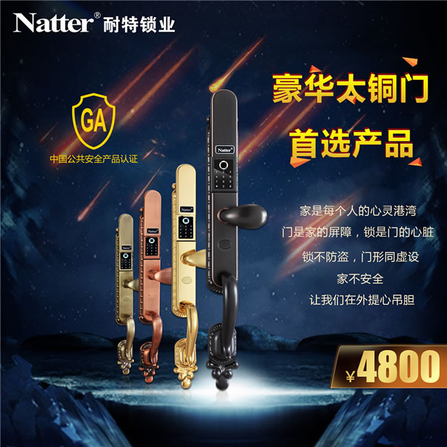 耐特別墅指紋鎖 豪華銅門N6