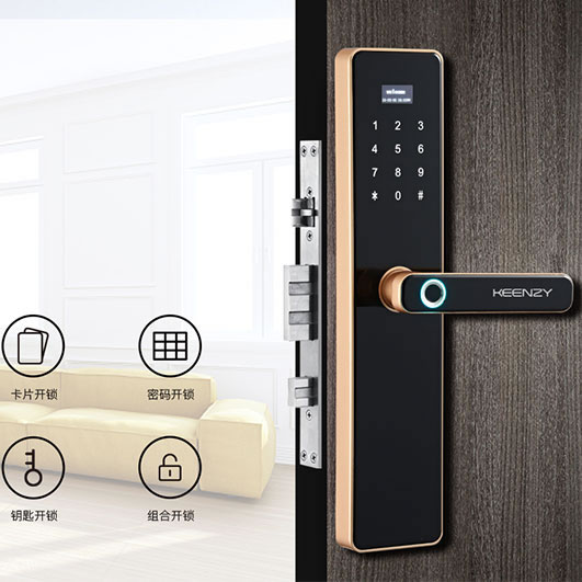 青熠智能鎖 NB-IOT智能鎖 直板防盜門指紋鎖