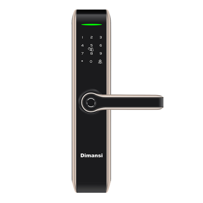 迪曼斯智能鎖 智能家居家用防盜門密碼磁卡鎖LS-02