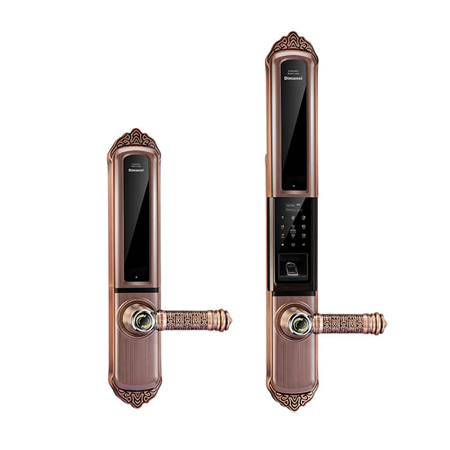 迪曼斯智能鎖 智能家居家用防盜門密碼磁卡鎖 智能電子鎖LS-08