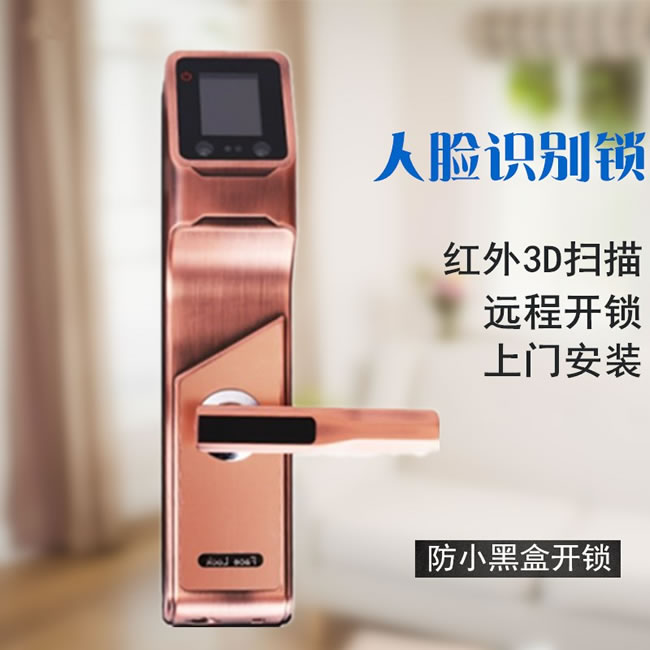 浩宇興智能鎖 人臉鎖掌靜脈密碼鎖手機遠程開鎖