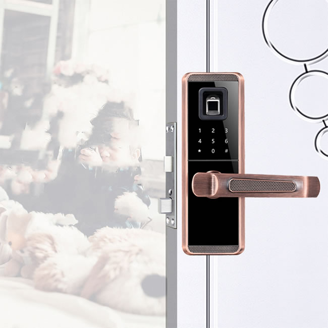 小家丁指紋鎖 D1大門鎖磁卡鎖密碼鎖
