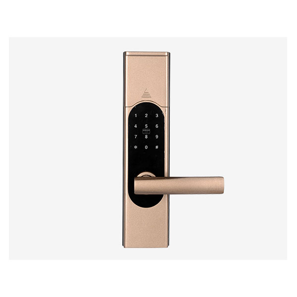 埃菲斯智能鎖 家用小滑蓋指紋鎖 防盜門智能鎖A602