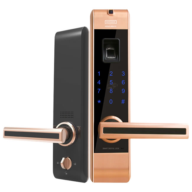 第吉爾指紋鎖 313微信控制智能密碼鎖