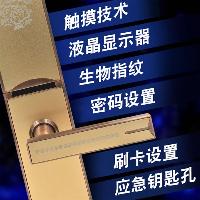 羅帝斯智能鎖 家用防盜鎖感應刷卡鎖