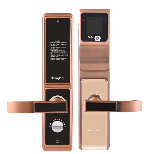 騰飛指紋鎖 人臉識別鎖防盜門密碼智能門鎖