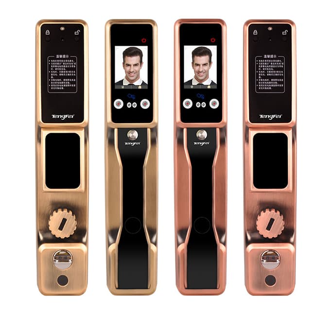 騰飛指紋鎖 全自動人臉識別鎖家用防盜門鎖