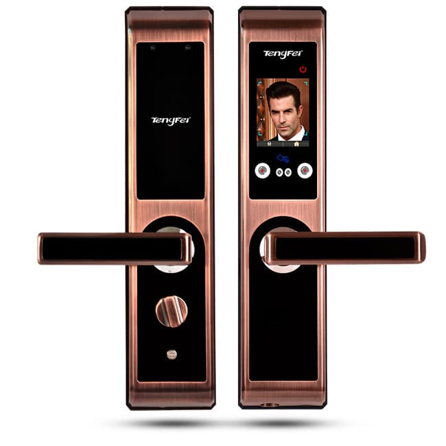 騰飛指紋鎖 人臉識別鎖家用推拉式智能密碼鎖