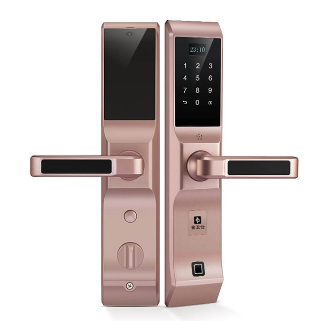 金衛(wèi)仕智能鎖 WS-I5家用防盜鎖密碼電子鎖