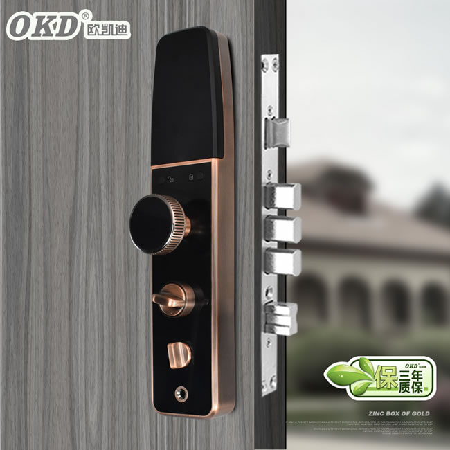 歐凱迪智能鎖 大門防盜門指紋鎖智能門鎖