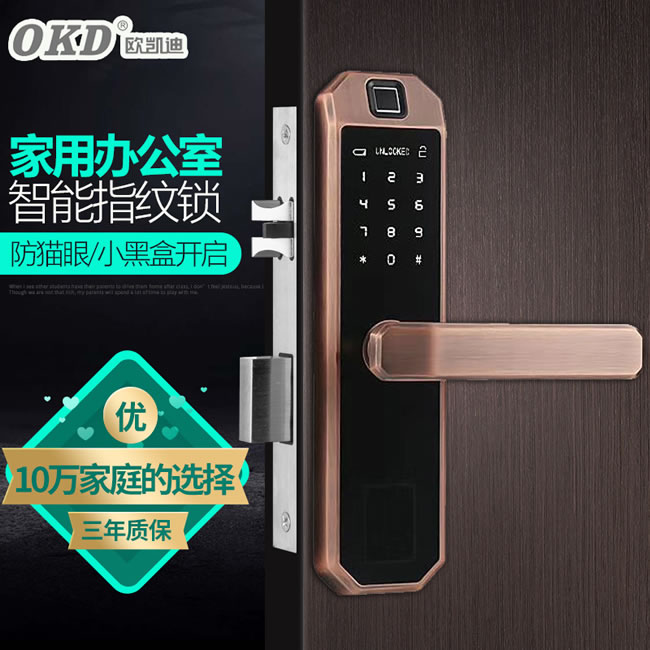 歐凱迪智能鎖 家用防盜鎖木門智能門鎖