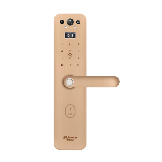 零距離智能 P768C級鎖芯智能鎖