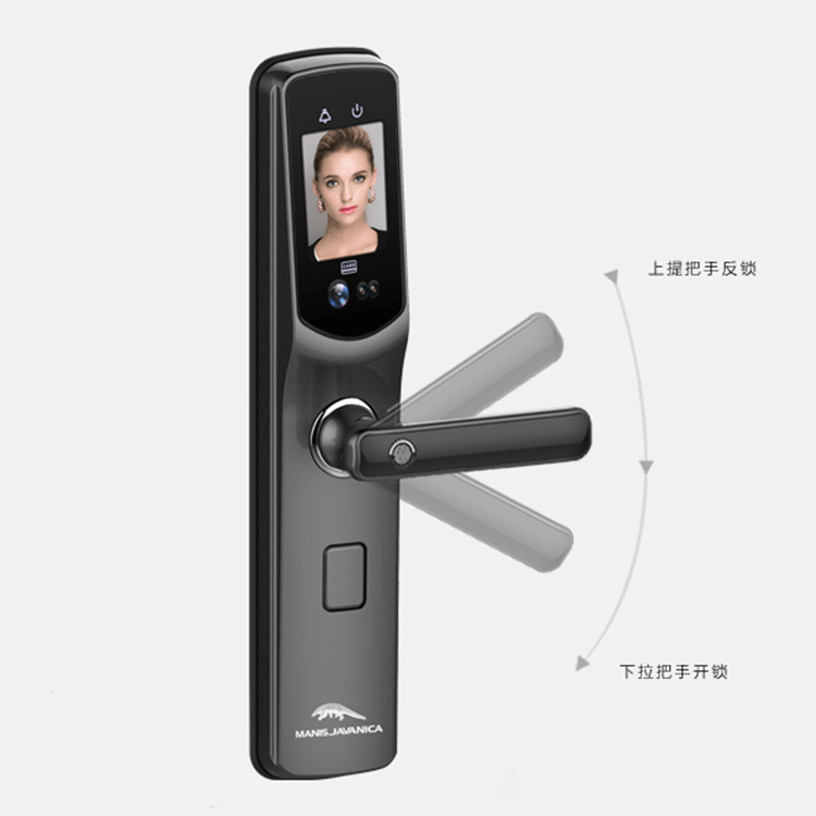 穿山甲智能鎖 半自動人臉識別智能鎖