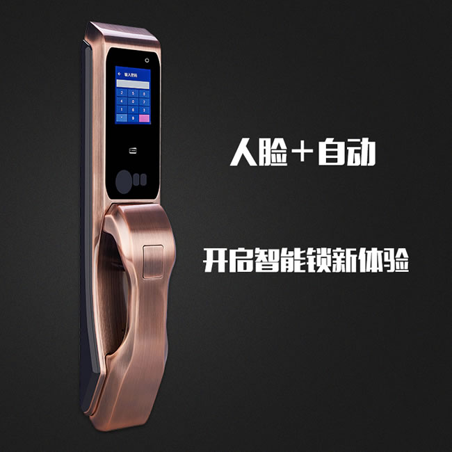 彬彬智能鎖 BBR88家居智能鎖人臉自動(dòng)鎖