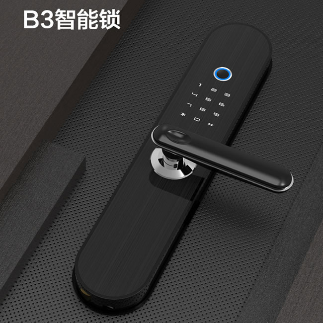 居聯智能鎖 B3虛位密碼防撬報警指紋鎖
