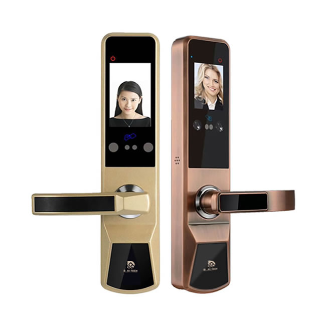 達(dá)奇智能鎖 D6人臉識別智能密碼鎖