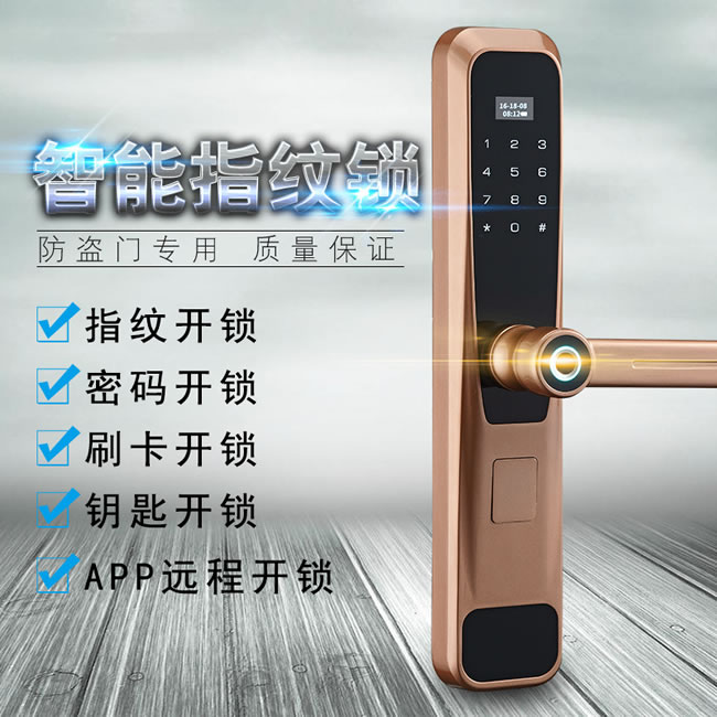 創(chuàng)鴻智能鎖 T21家用一握開把手指紋鎖